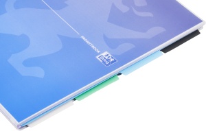 Oxford Project Book, A4 80 file, hartie Optik 90g/mp, spira dubla, scribzee, patratele, gradient classic mix culori - Img 6