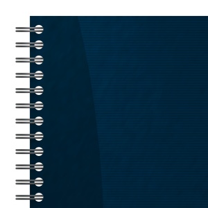 Organizator Oxford Task Manager Zilnic, 115 file, hartie Optik 90g/mp, spira dubla - Img 3