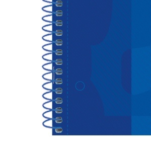 Caiet Oxford Europeanbook 1 Classic A4+ 80 file, Write & Erase, scribzee, dictando - Img 4