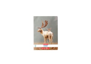 Caiet A5, 48 file, 70g/mp, velin, colturi rotunjite, motiv Animals - Img 5