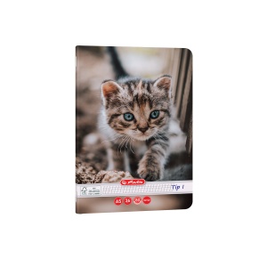 Caiet A5 Tip I, 36 file, motiv Cats & Dogs - Img 4