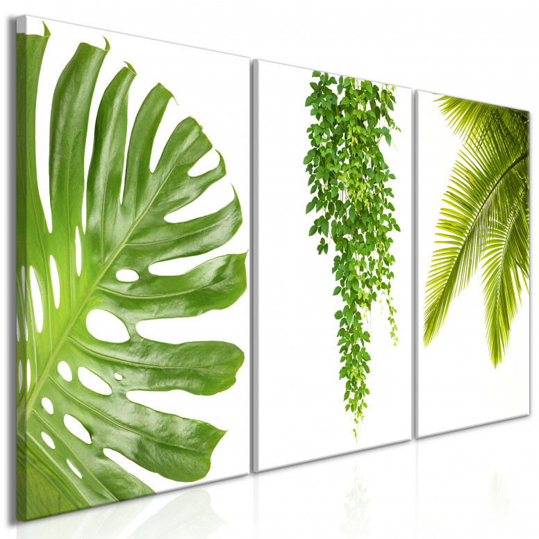 Tablou - Beautiful Palm Trees (3 Parts) 120x60 cm