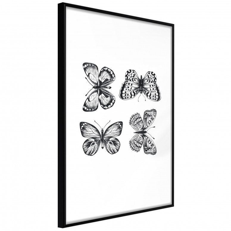 Poster - Butterfly Collection III, cu Ramă neagră, 20x30 cm