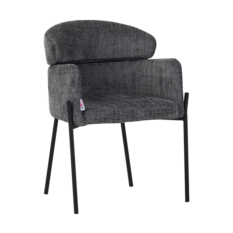 Scaun cu Brate Model Tolerse, Gri deschis/Negru, 58x57x80 cm