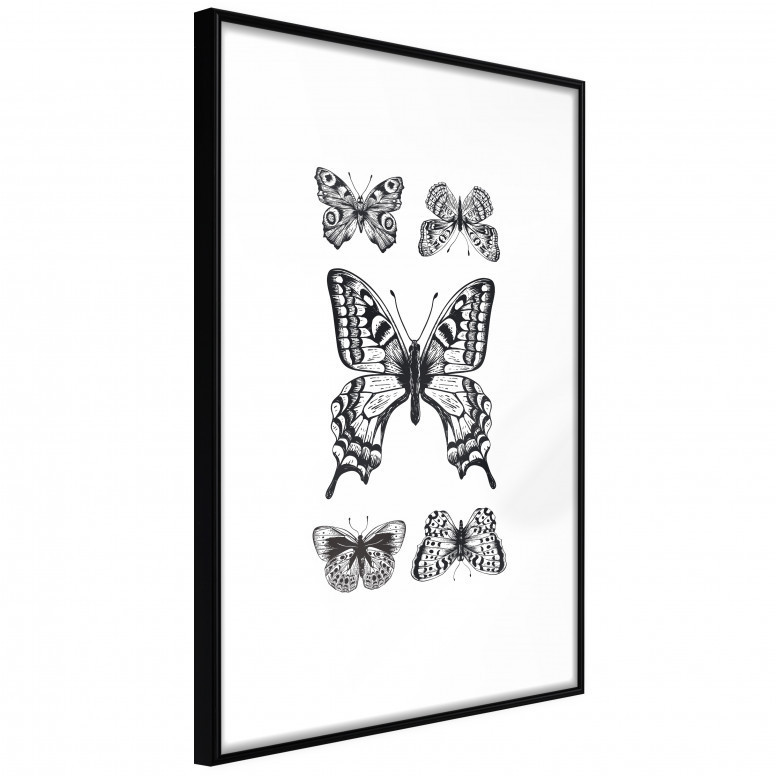 Poster - Butterfly Collection IV, cu Ramă neagră, 40x60 cm