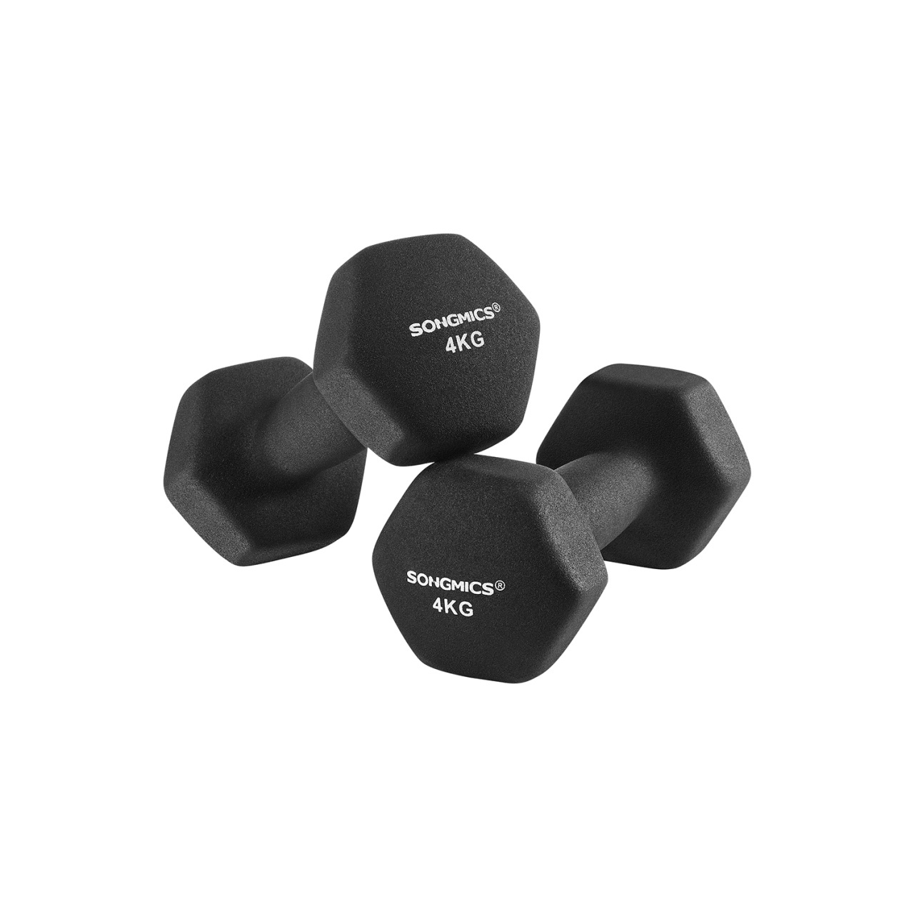 Set 2 gantere Songmics Negru 20.5x9.5x9 cm - 1 | YEO