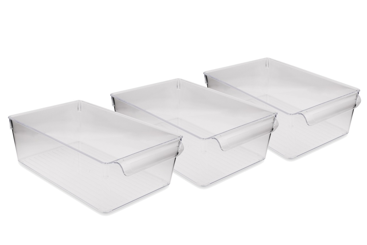 Set recipiente organizare frigider, 3 piese 727 Transparent 20x32.5x10 cm - 2 | YEO