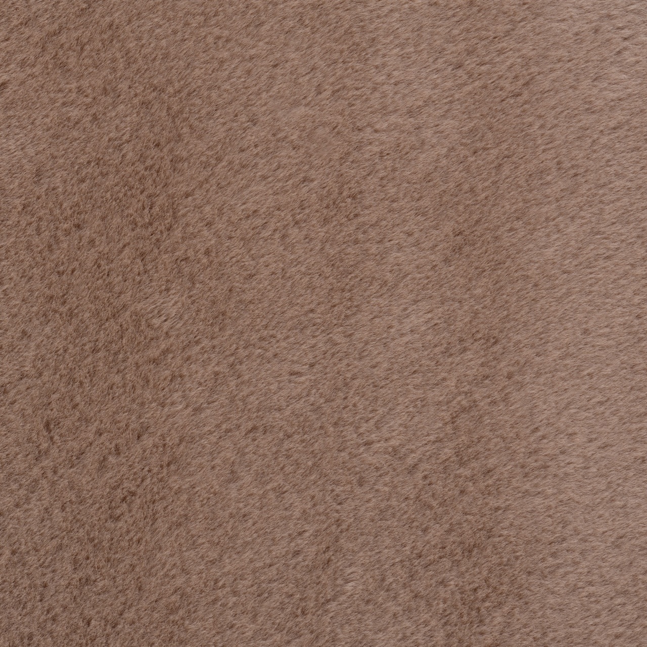 Covor Joy Mocca, 160 x 220cm - 3 | YEO
