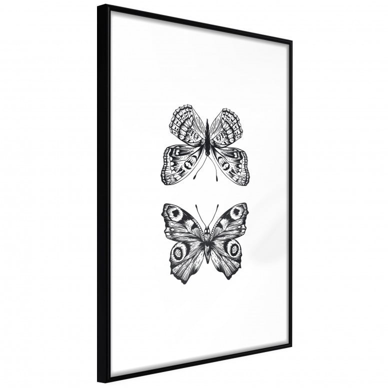 Poster - Butterfly Collection I, cu Ramă neagră, 40x60 cm