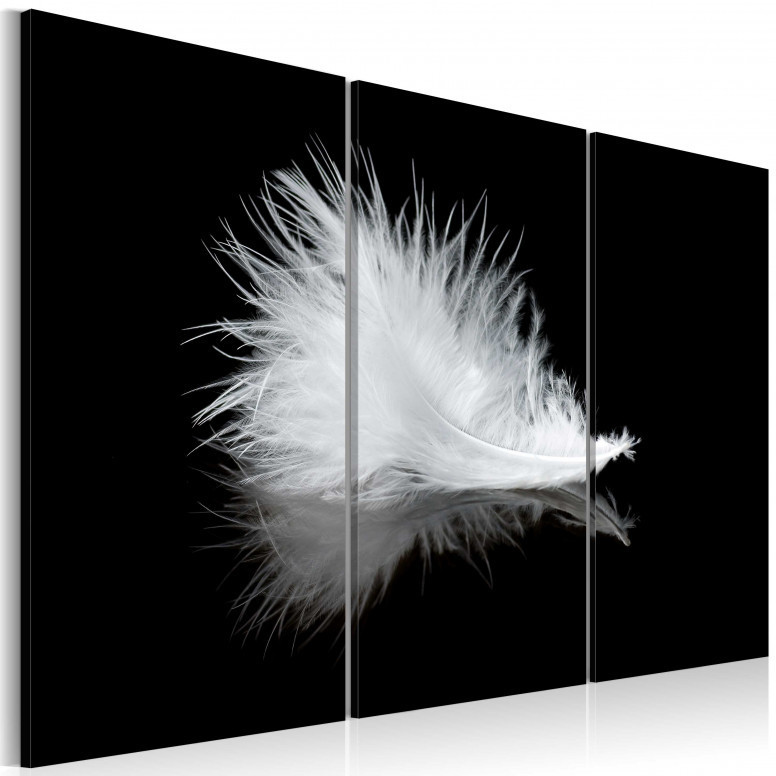 Tablou - A small feather 120x80 cm