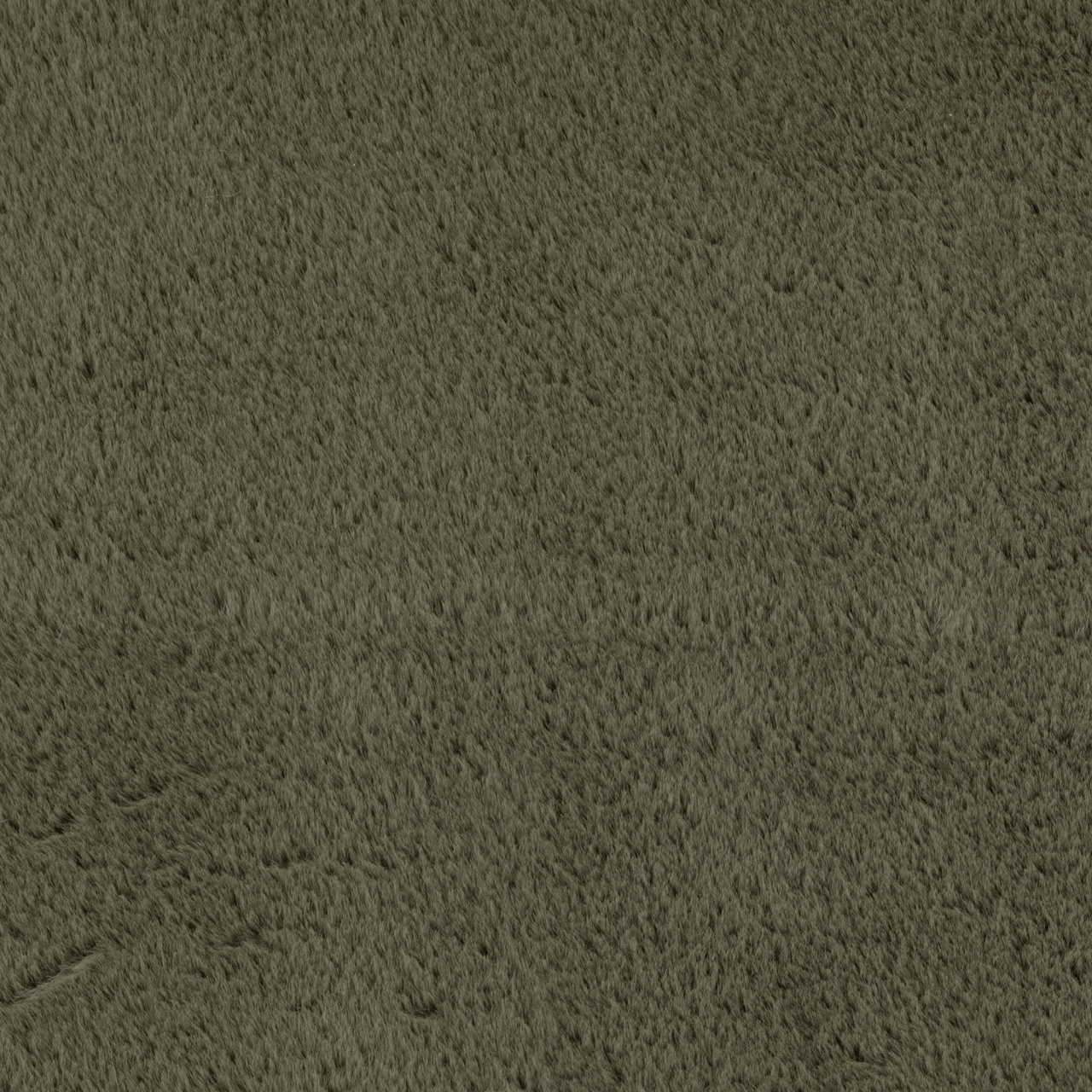 Covor Joy Verde, 160 x 220cm - 3 | YEO