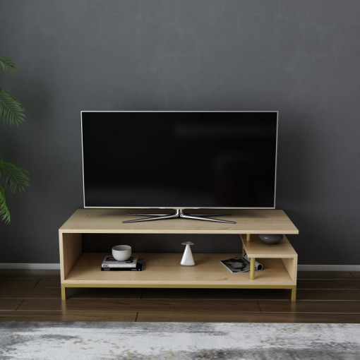 Comoda TV Salvador, Model Reilly, 120x37.6x44.6 cm, Auriu/Stejar