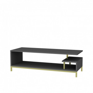 Comoda TV Salvador, Model Reilly, 120x37.6x44.6 cm, Auriu/Antracit - Img 4
