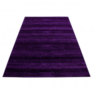 Covor Plus Lila V1 240 x 340 cm - Img 3