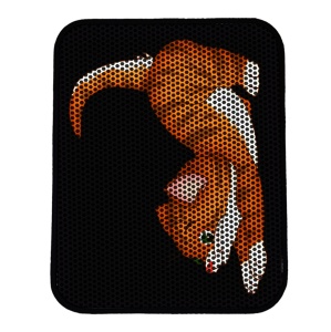 Covoras pentru litiera pisici Nrszn0118 Multicolor 45x60 cm - Img 2