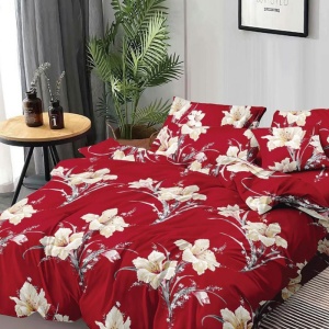 Lenjerie Claudette 6 Piese