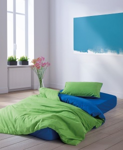 Lenjerie de pat 1 Persoana Model Sage Green, Blue
