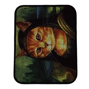 Covoras pentru litiera pisici Nrszn0133 Multicolor 45x60 cm - Img 2