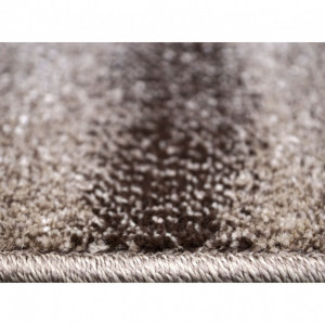 Covor Traversa Daffi 13068, Bej/Maro, 60x500 cm, 1700 gr/mp - Img 6