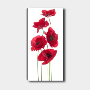 Tablou DKY128322 Multicolor 50x120 cm - Img 2