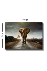 Tablou Kanvas Multicolor 70x100 cm - Img 4