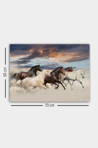 Tablou 310236866 Multicolor 50x70x3 cm - Img 3