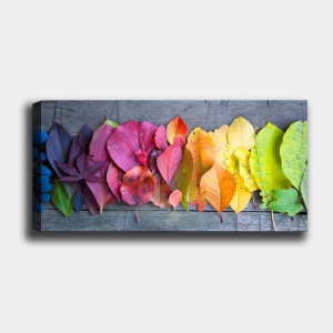 Tablou Bella Mira Multicolor 50x120 cm - Img 2
