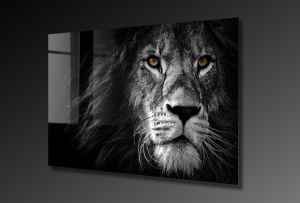 Tablou din sticlă temperată UV Multicolor 70x100 cm - Img 6