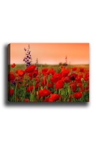 Tablou Kanvas Multicolor 50x70x3 cm - Img 2