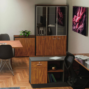 Biblioteca Pako World, Model Oscar, 120x40x200 cm, Nuc/Antracit - Img 2