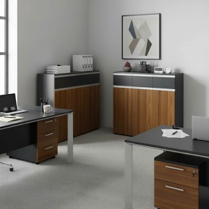 Set 2 Dulapuri birou identice Oscar, antracit, 240x40x120 cm
