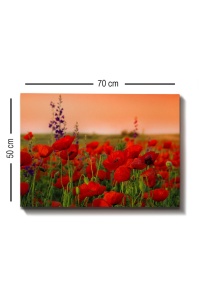 Tablou Kanvas Multicolor 50x70x3 cm - Img 3