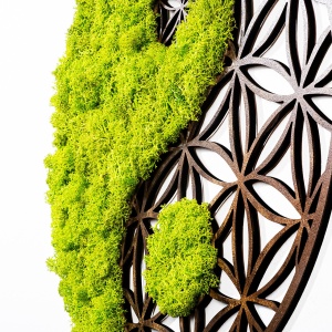 Accesoriu decorativ de perete Yin Yang Verde 44x1x44 cm - Img 3