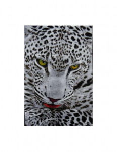Covor Kolibri Leopard, 160x230 cm - Img 1