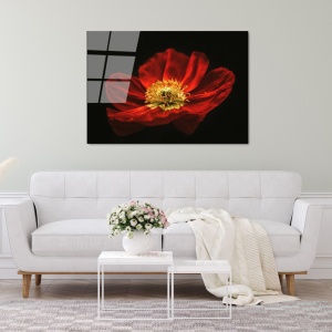 Tablou din sticlă temperată UV Multicolor 70x100 cm - Img 3