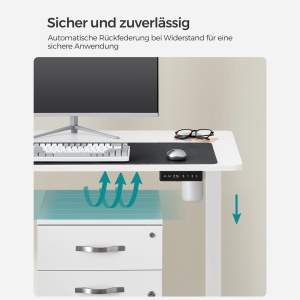 Birou reglabil Songmics Alb 120x60x119 cm - Img 5