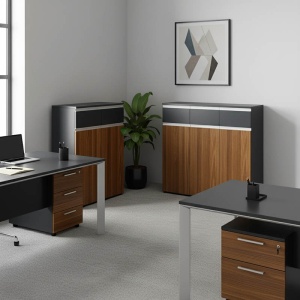Se 2 Dulapuri birou identice Oscar, antracit, 200x40x120 cm