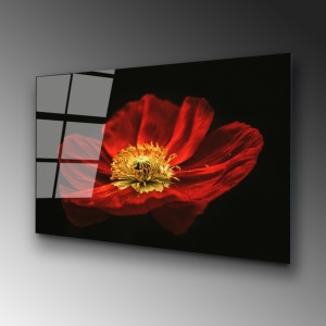 Tablou din sticlă temperată UV Multicolor 70x100 cm - Img 4