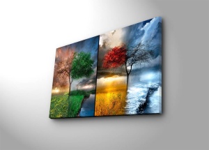 Tablou 5070C Multicolor 45x70 cm - Img 2
