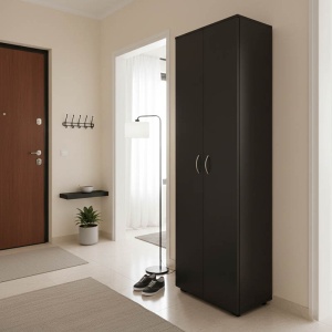 Dulap pentru pantofi Racka, 2 usi, Antracit, 58 x 34 x 186 cm