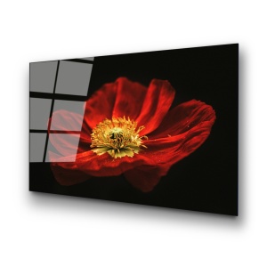 Tablou din sticlă temperată UV Multicolor 70x100 cm - Img 6