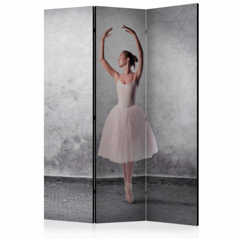 Paravan - Ballerina in Degas paintings style [Room Dividers]