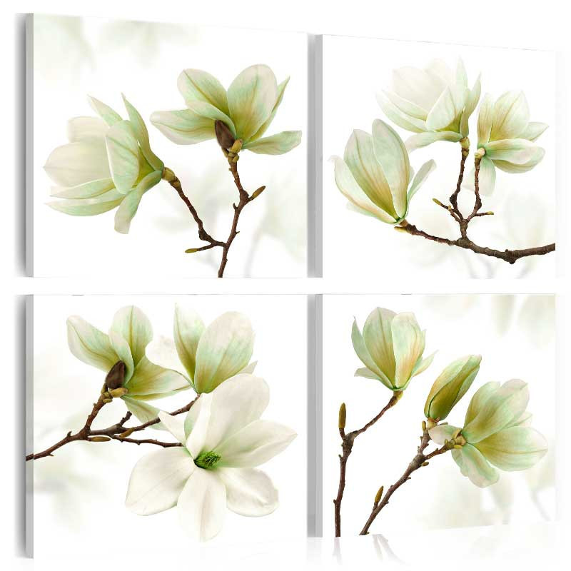 Tablou - Admiration of Magnolia