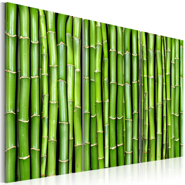 Tablou - Bamboo wall