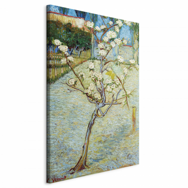 Tablou - Blossoming Pear Tree