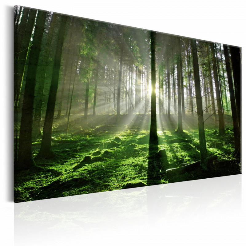 Tablou - Emerald Forest II