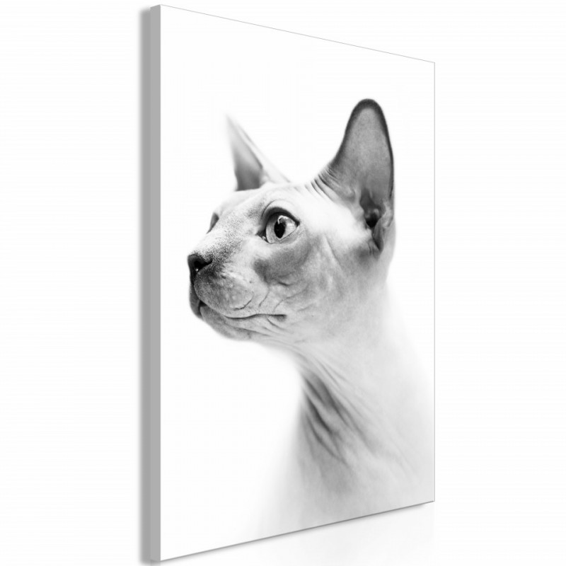 Tablou - Hairless Cat (1 Part) Vertical