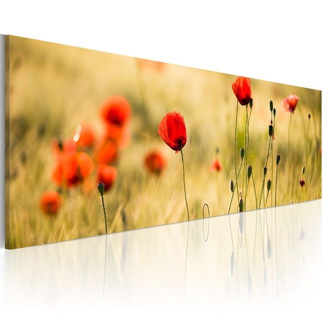 Tablou - Spring poppies meadow