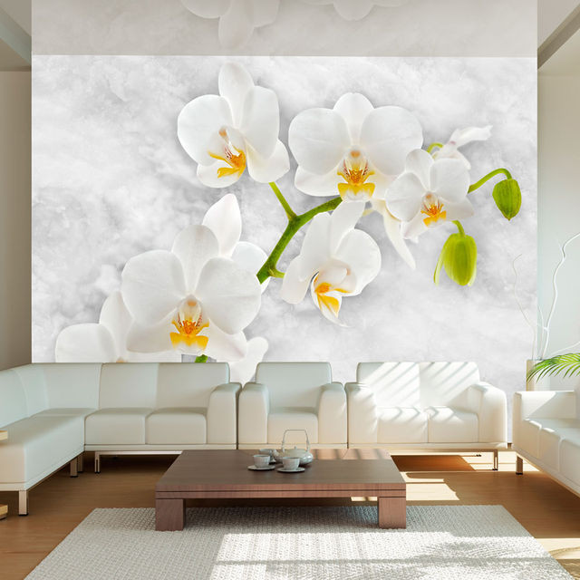 Fototapet - Lyrical orchid - White