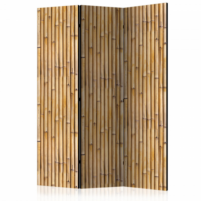 Paravan - Amazonian Wall [Room Dividers]